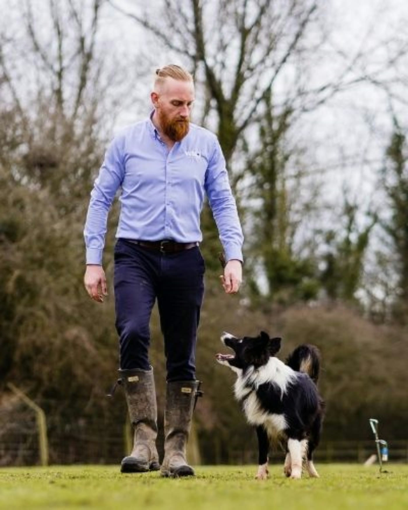 Faithwolf founder Matt Wiggins walking a field with a border collie at perfect heel, off lead